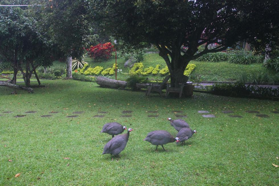 Hotel Villa Rawa Pening Pratama By Aparian Bandungan Εξωτερικό φωτογραφία